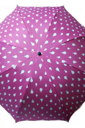 Color Changing Umbrella