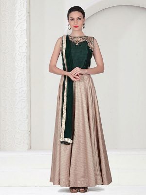 Cream Color Chennai Silk Resham Embroidered Gown