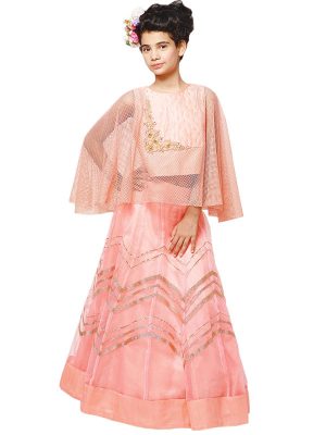 Peach Color Silk & Fancy Net Hand Work Lehenga Choli