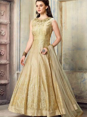 Chiku Color Chanderi Silk Embroidery Gown
