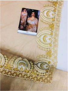 Daisy Shah Net Cream Bollywood Replica Saree