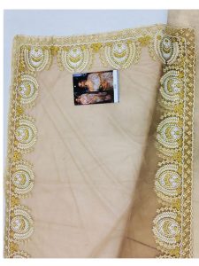 Daisy Shah Net Cream Bollywood Replica Saree