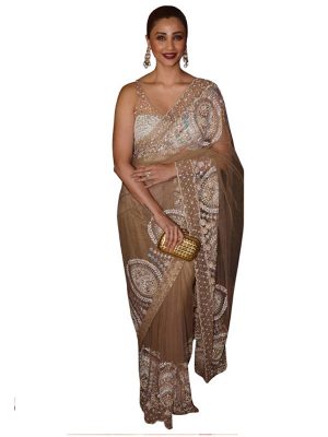 Daisy Shah Net Cream Bollywood Replica Saree