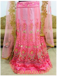 Madhuri Dixit Nylon Net Peach Replica Lehenga Choli