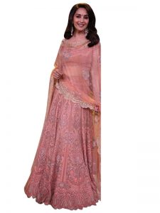 Madhuri Dixit Nylon Net Peach Replica Lehenga Choli