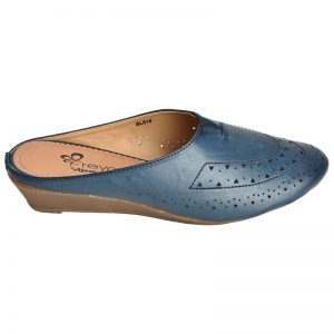Women's Blue Colour Synthetic Leather Jelly Shoes