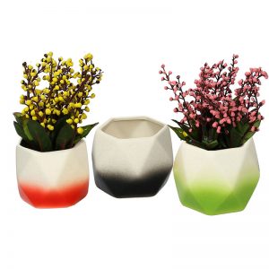 Multicolored Ceramic Small Planter Pots - Set of 3