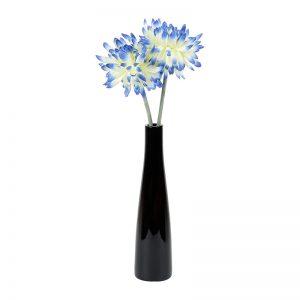 Stylish Semi Opaque Black Vase