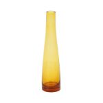Stylish Transparent Orange Vase