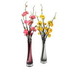 Set of Two Semi Transparent Flower Vase