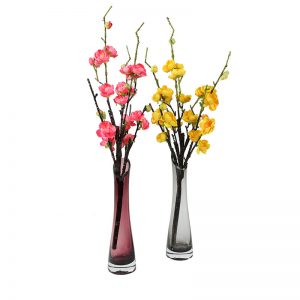 Set of Two Semi Transparent Flower Vase