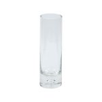 Thick Clear Glass Transparent Vase