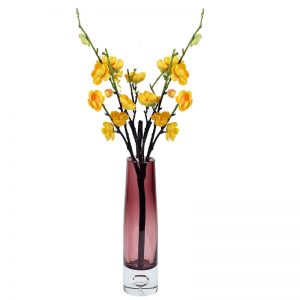 Wine Colour Clear Glass Transparent Cylindrical Vase