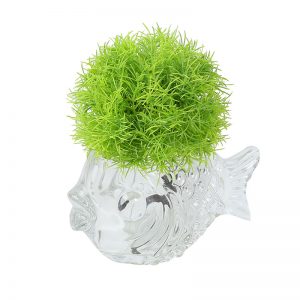 Thick Crystal Fish Design Vase