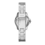Fossil Cecile Analog Silver Dial Women'S Watch - Am4576