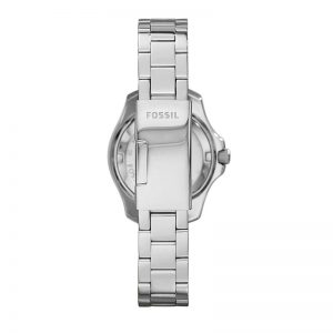 Fossil Cecile Analog Silver Dial Women'S Watch - Am4576