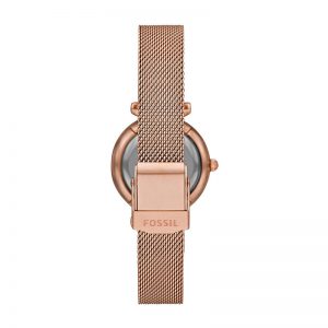 Fossil Carlie Mini Analog Multi-Colour Dial Women'S Watch-Es4505