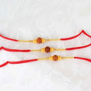 Set of 3 Single Rudraksha Rakhi