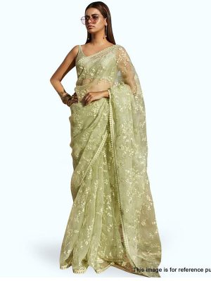 Amazing Mint Green Colour Nylon Net Bollywood Designer Sarees