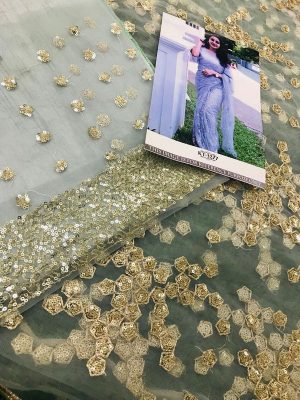Special Premium Light Blue Colour Nylon Net Bollywood Designer Sarees