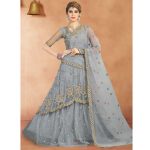 Grey Colour Net Embroidery & Sequence Work Lehenga Choli