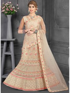 Beige Colour Net Embroidery & Sequence Work Lehenga Choli