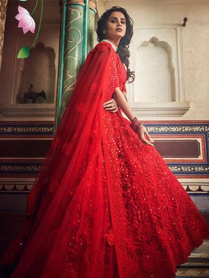 Red Colour Net Dori & Multi Work Lehenga Choli