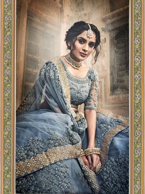 Grey Colour Net Dori Work Lehenga Choli