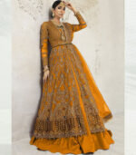 Mustard Net Pakistani Salwar Kameez