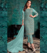 Sky Blue Net Pakistani Salwar Kameez