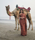 Crimson Brown Brasso Sparkle Silk Saree