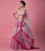 Pink Glossy Silk Dance Deewane Madhuri Dixit Lehenga