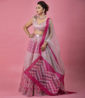 Pink Glossy Silk Dance Deewane Madhuri Dixit Lehenga