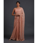 Peach Bollywood Beautiful Designer Butterfly Saree