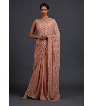 Peach Bollywood Beautiful Designer Butterfly Saree