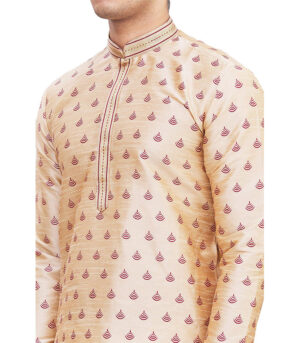 Beige Silk Ethnic Wear Kurta Pyjama